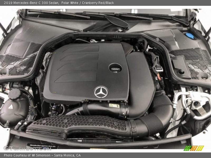 Polar White / Cranberry Red/Black 2019 Mercedes-Benz C 300 Sedan