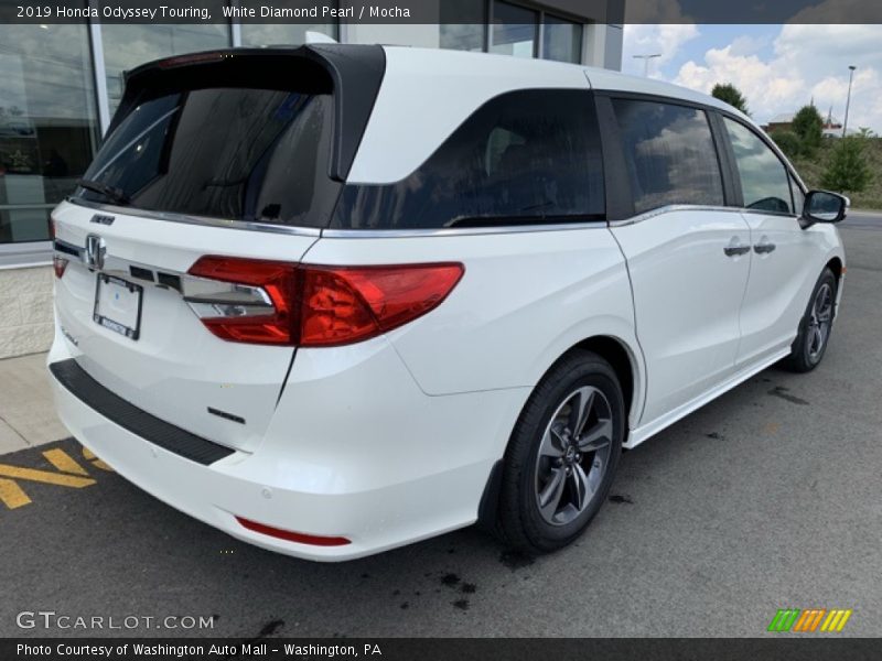 White Diamond Pearl / Mocha 2019 Honda Odyssey Touring