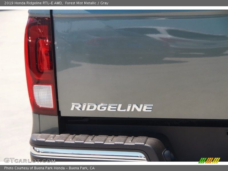 Forest Mist Metallic / Gray 2019 Honda Ridgeline RTL-E AWD