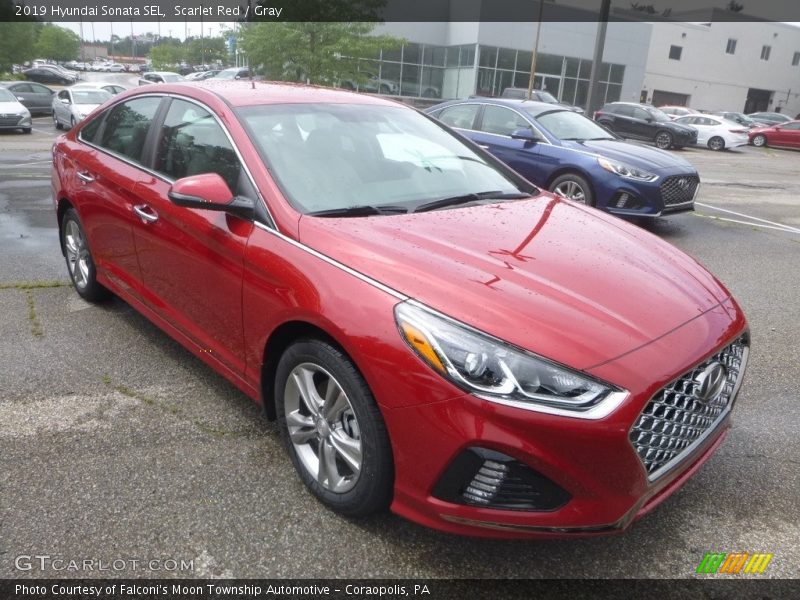 Scarlet Red / Gray 2019 Hyundai Sonata SEL