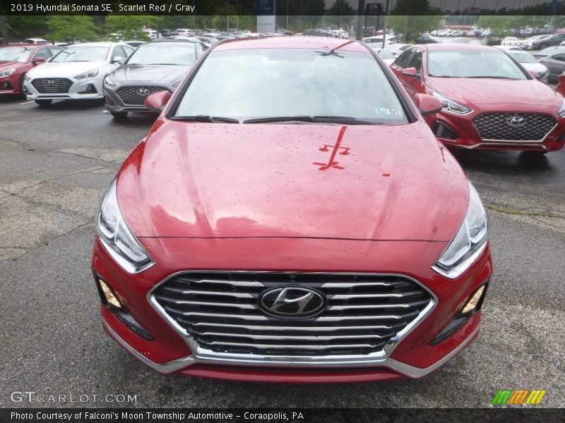 Scarlet Red / Gray 2019 Hyundai Sonata SE