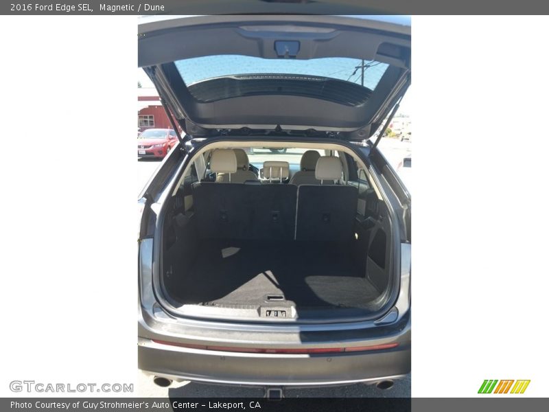 Magnetic / Dune 2016 Ford Edge SEL