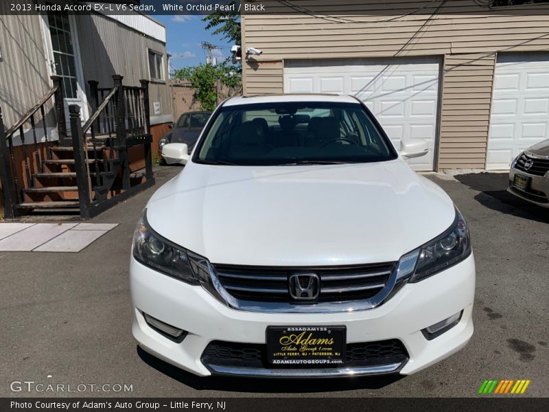 White Orchid Pearl / Black 2013 Honda Accord EX-L V6 Sedan