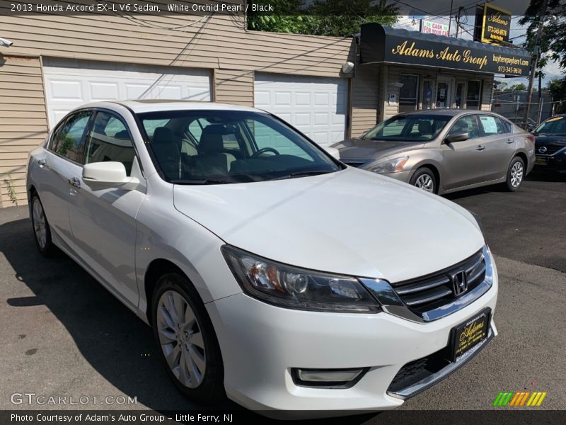 White Orchid Pearl / Black 2013 Honda Accord EX-L V6 Sedan