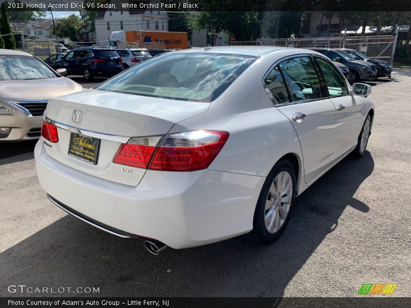 White Orchid Pearl / Black 2013 Honda Accord EX-L V6 Sedan