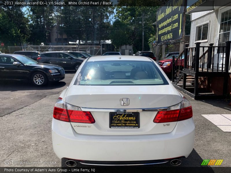 White Orchid Pearl / Black 2013 Honda Accord EX-L V6 Sedan