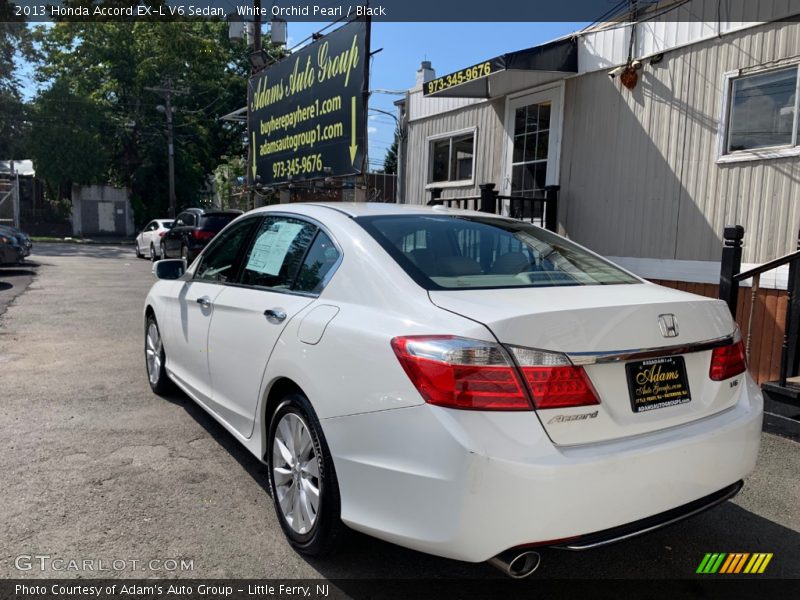 White Orchid Pearl / Black 2013 Honda Accord EX-L V6 Sedan