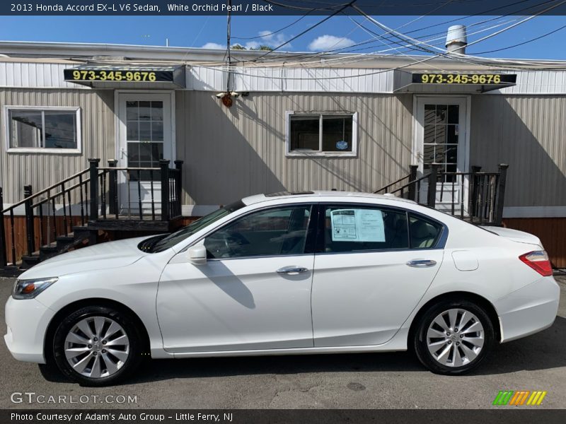 White Orchid Pearl / Black 2013 Honda Accord EX-L V6 Sedan