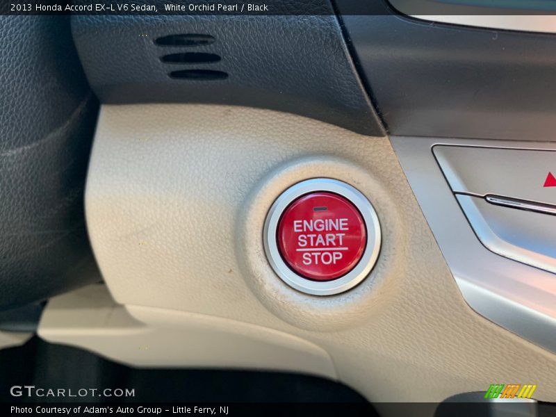 White Orchid Pearl / Black 2013 Honda Accord EX-L V6 Sedan