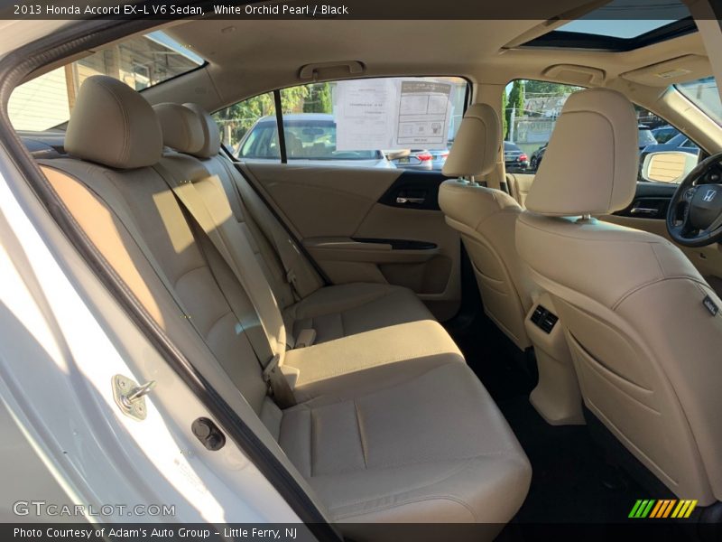 White Orchid Pearl / Black 2013 Honda Accord EX-L V6 Sedan