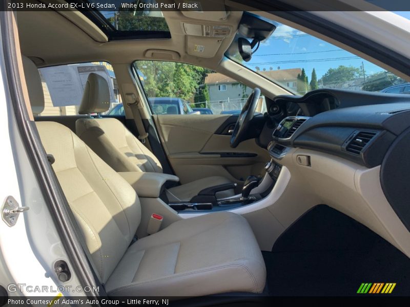 White Orchid Pearl / Black 2013 Honda Accord EX-L V6 Sedan