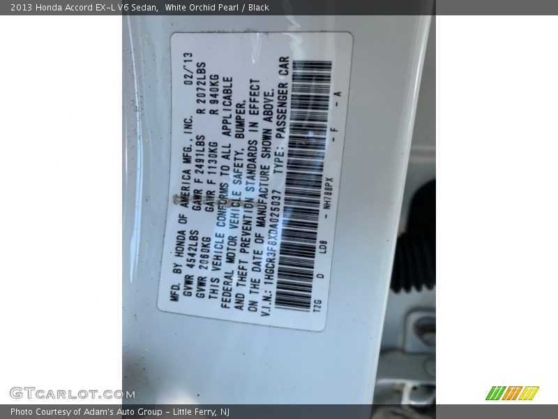 White Orchid Pearl / Black 2013 Honda Accord EX-L V6 Sedan