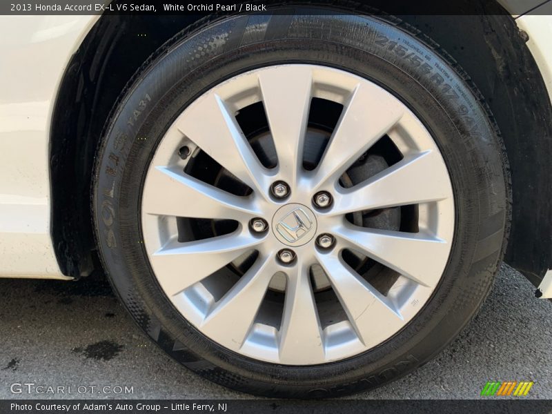 White Orchid Pearl / Black 2013 Honda Accord EX-L V6 Sedan