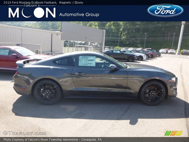 Magnetic / Ebony 2019 Ford Mustang EcoBoost Fastback