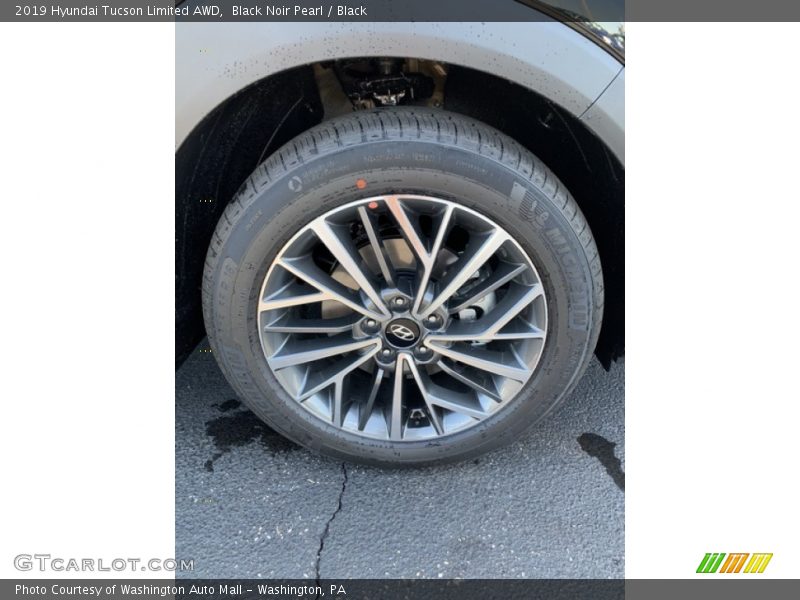 Black Noir Pearl / Black 2019 Hyundai Tucson Limited AWD