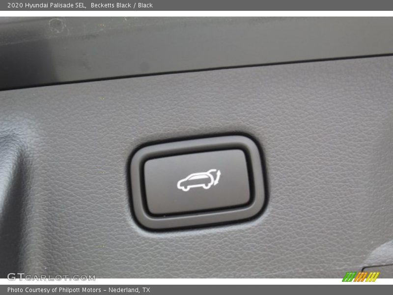 Becketts Black / Black 2020 Hyundai Palisade SEL