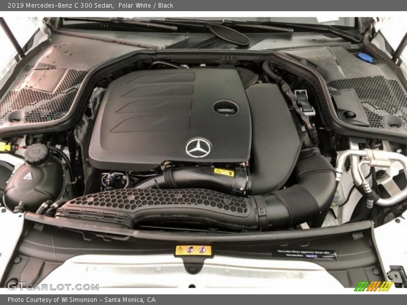 Polar White / Black 2019 Mercedes-Benz C 300 Sedan