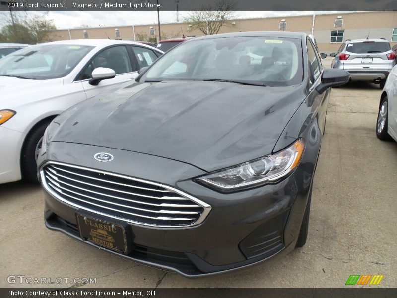 Magnetic / Medium Light Stone 2019 Ford Fusion SE