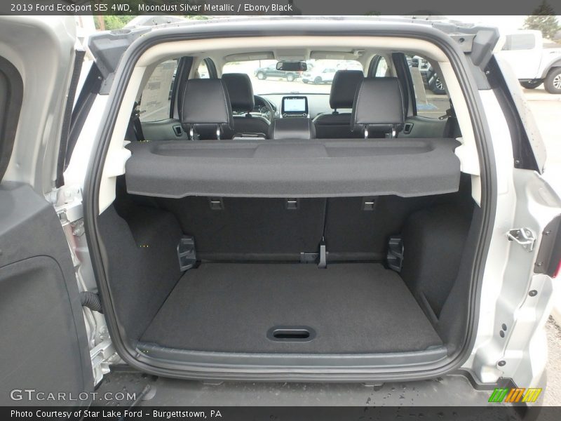 Moondust Silver Metallic / Ebony Black 2019 Ford EcoSport SES 4WD