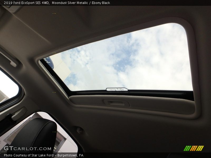 Moondust Silver Metallic / Ebony Black 2019 Ford EcoSport SES 4WD
