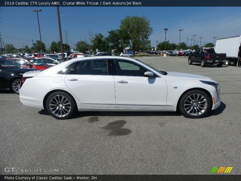  2019 CT6 Luxury AWD Crystal White Tricoat