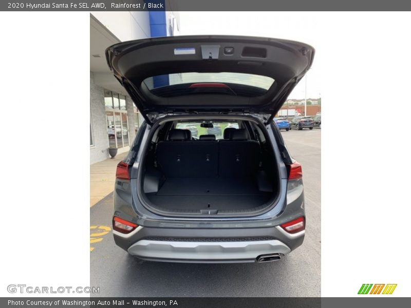 Rainforest / Black 2020 Hyundai Santa Fe SEL AWD
