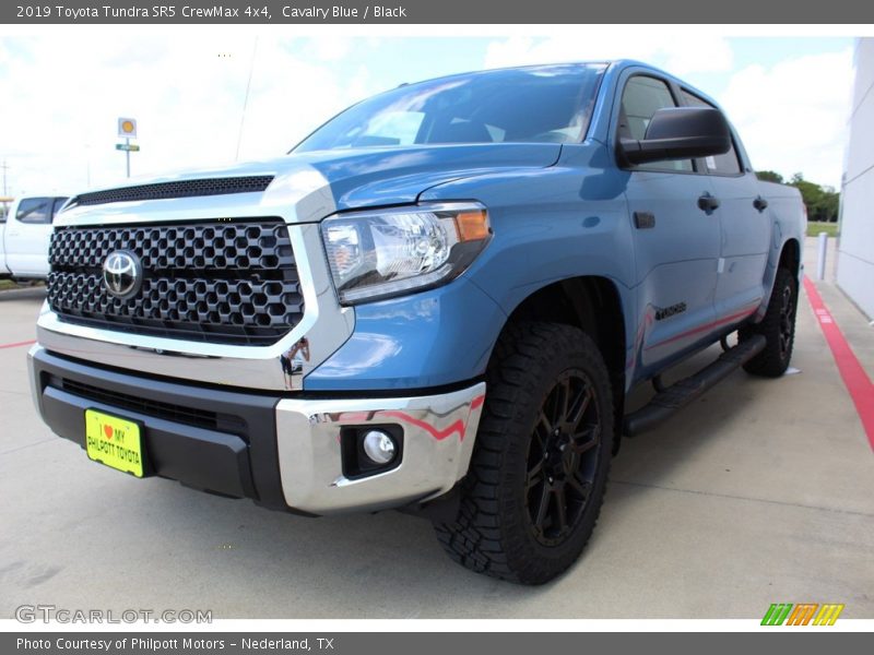 Cavalry Blue / Black 2019 Toyota Tundra SR5 CrewMax 4x4
