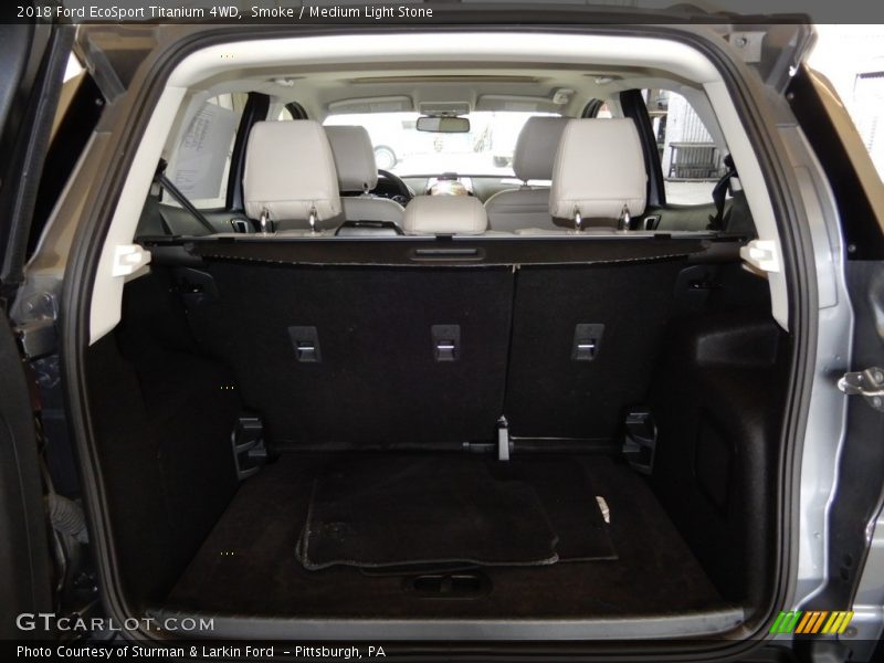 Smoke / Medium Light Stone 2018 Ford EcoSport Titanium 4WD