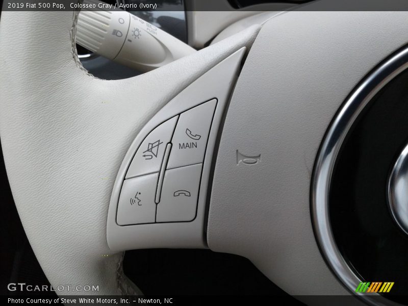  2019 500 Pop Steering Wheel