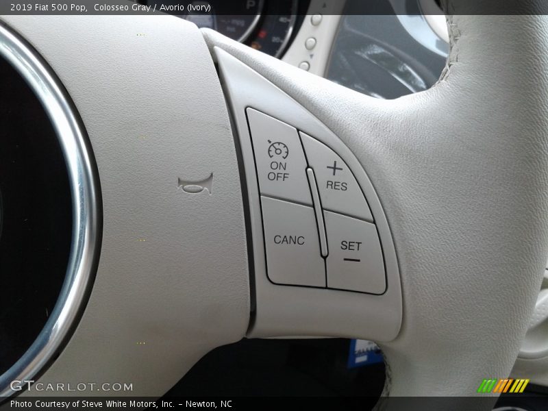  2019 500 Pop Steering Wheel