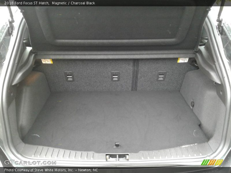 Magnetic / Charcoal Black 2018 Ford Focus ST Hatch