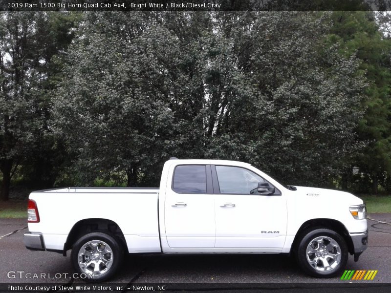 Bright White / Black/Diesel Gray 2019 Ram 1500 Big Horn Quad Cab 4x4