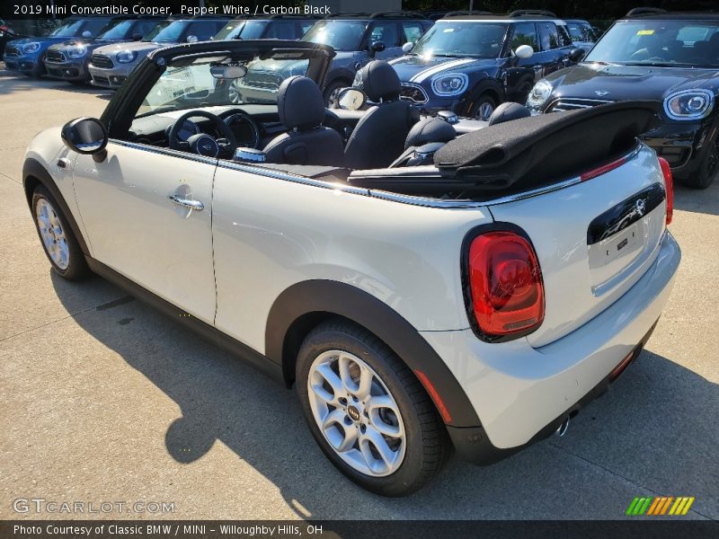 Pepper White / Carbon Black 2019 Mini Convertible Cooper