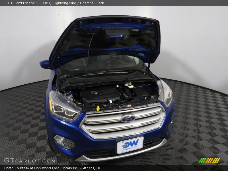 Lightning Blue / Charcoal Black 2018 Ford Escape SEL 4WD
