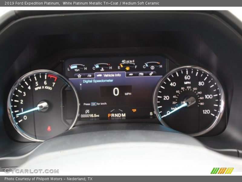  2019 Expedition Platinum Platinum Gauges