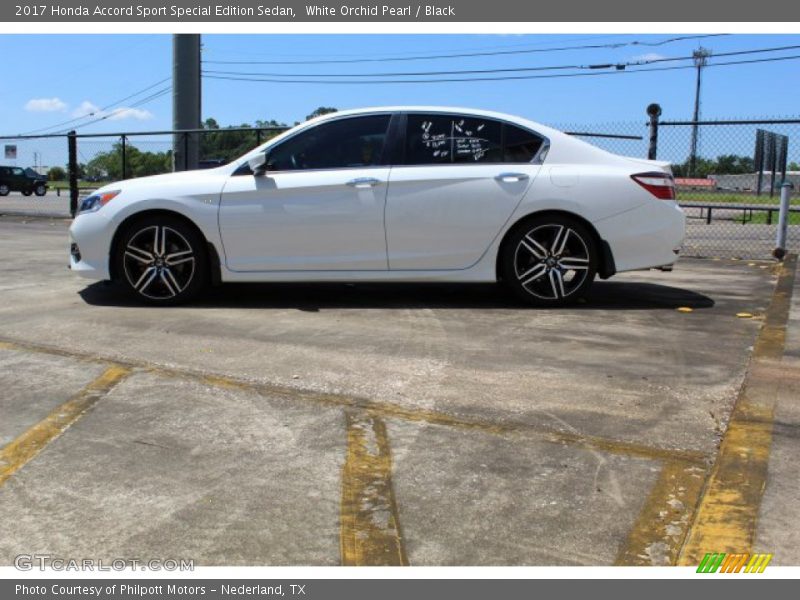 White Orchid Pearl / Black 2017 Honda Accord Sport Special Edition Sedan