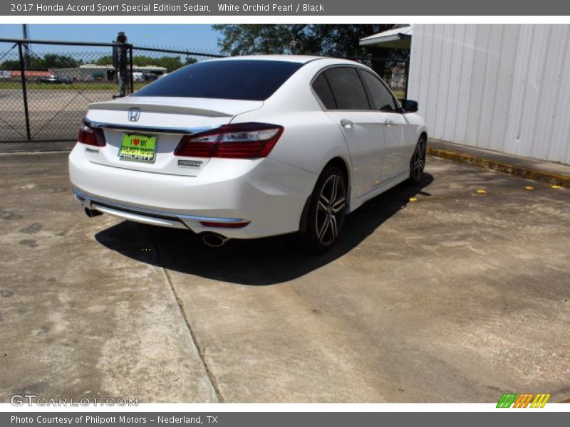 White Orchid Pearl / Black 2017 Honda Accord Sport Special Edition Sedan