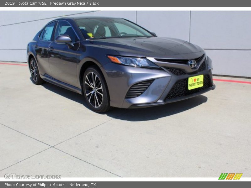 Predawn Gray Mica / Black 2019 Toyota Camry SE