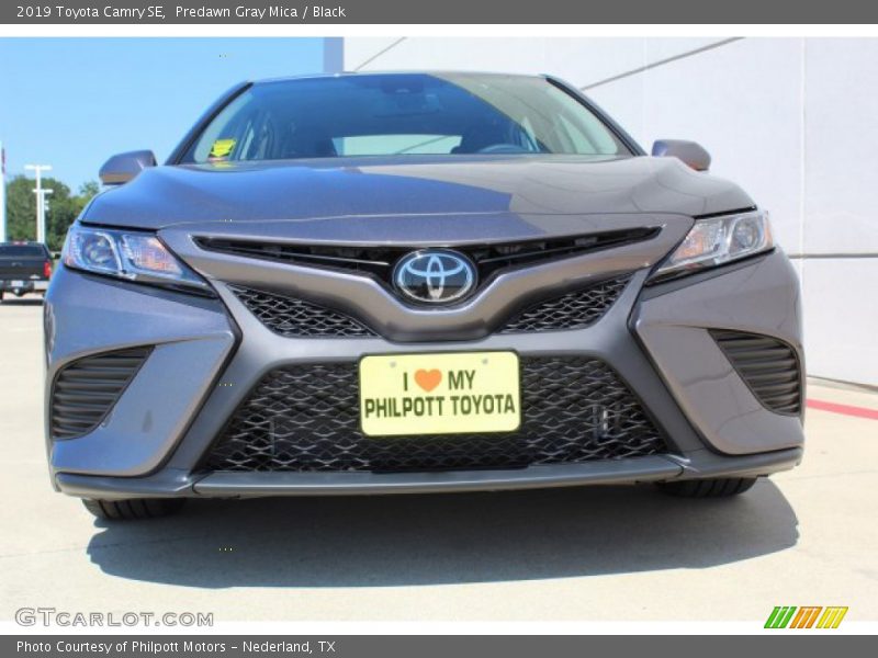 Predawn Gray Mica / Black 2019 Toyota Camry SE