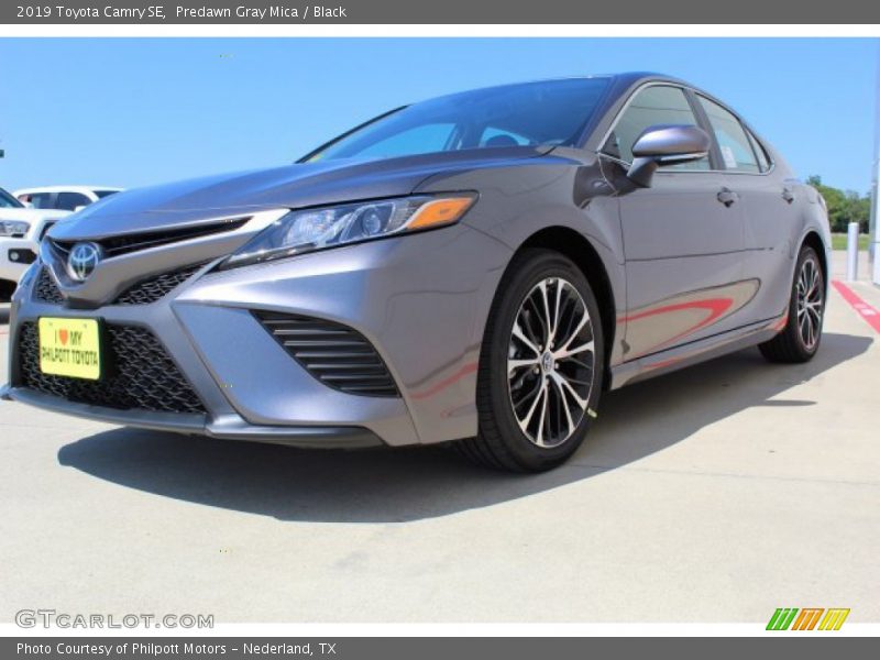 Predawn Gray Mica / Black 2019 Toyota Camry SE