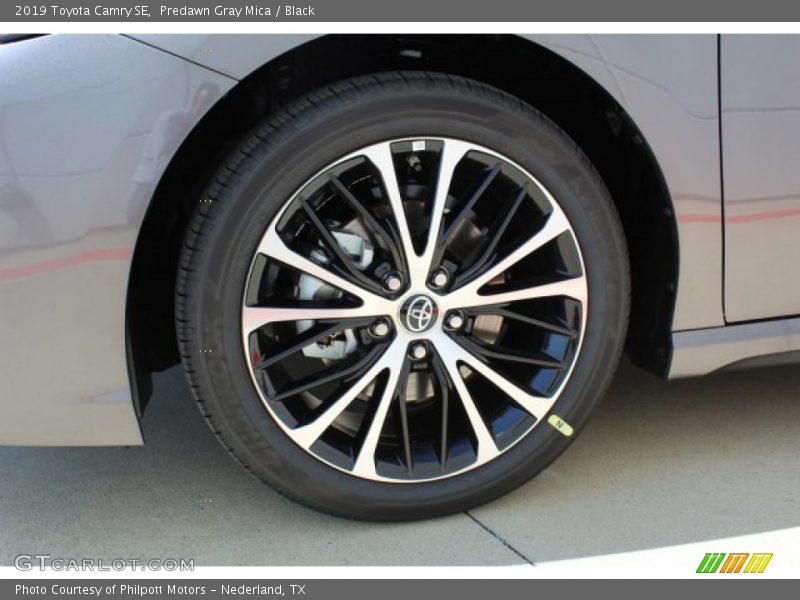 Predawn Gray Mica / Black 2019 Toyota Camry SE