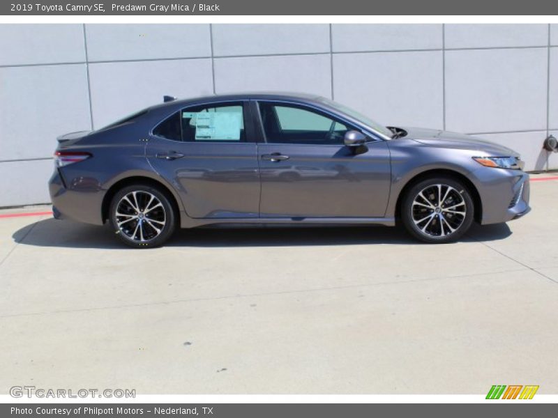 Predawn Gray Mica / Black 2019 Toyota Camry SE