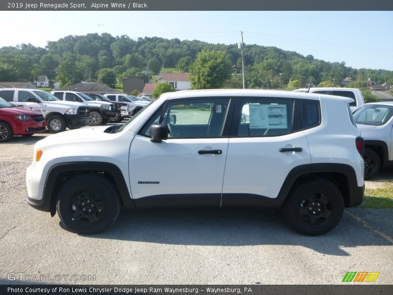 Alpine White / Black 2019 Jeep Renegade Sport