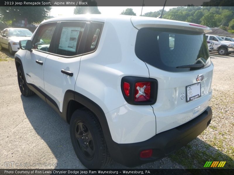 Alpine White / Black 2019 Jeep Renegade Sport