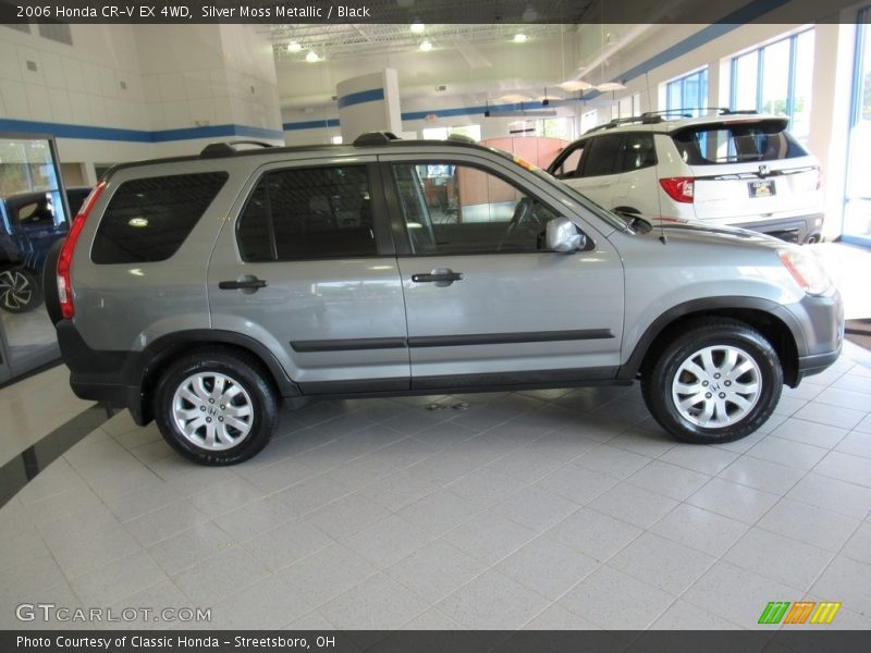Silver Moss Metallic / Black 2006 Honda CR-V EX 4WD