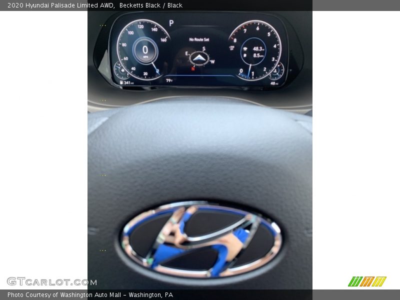 Becketts Black / Black 2020 Hyundai Palisade Limited AWD