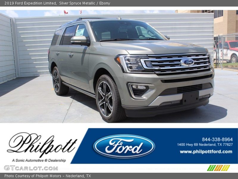 Silver Spruce Metallic / Ebony 2019 Ford Expedition Limited