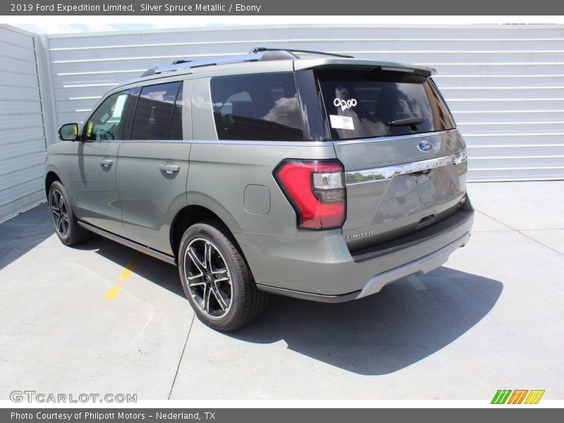 Silver Spruce Metallic / Ebony 2019 Ford Expedition Limited