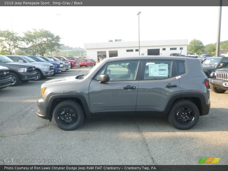 Sting-Gray / Black 2019 Jeep Renegade Sport