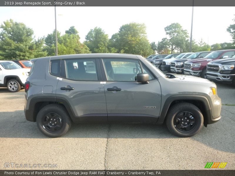 Sting-Gray / Black 2019 Jeep Renegade Sport